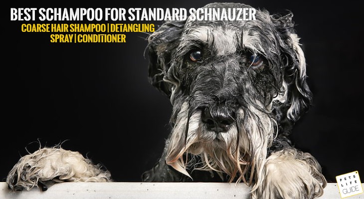 schnauzer beard stain remover
