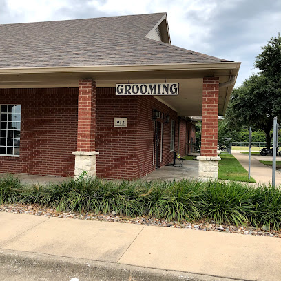 High point animal hospital plano