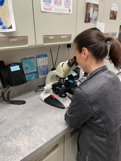 Park ridge animal hospital park ridge