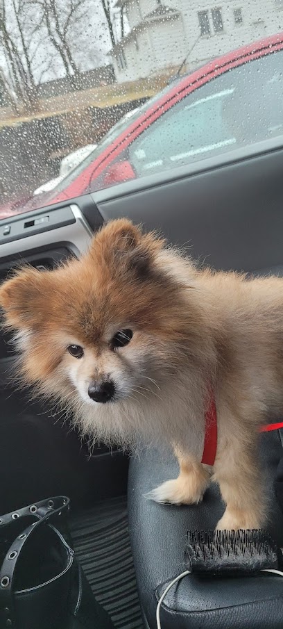 Mac rae park animal hospital des moines