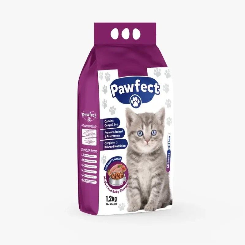 Pawfect kitten