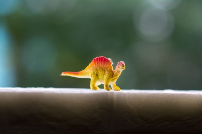 Decoding Fish Behavior And Psychology - Creative Desktop Colorful Patterns | Free Download