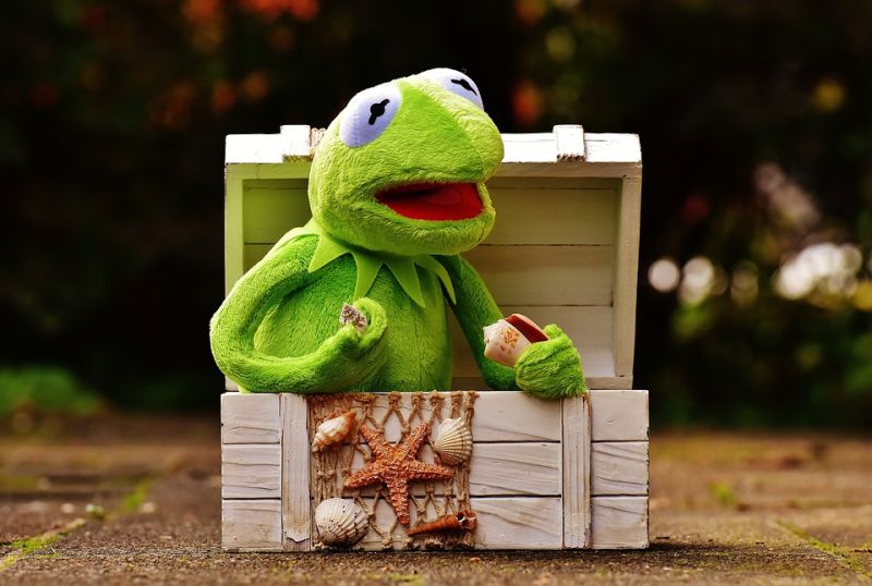 Decoding Tank Fish Body Language Understanding Their Behavior - Ocean Art Collection - Retina Quality