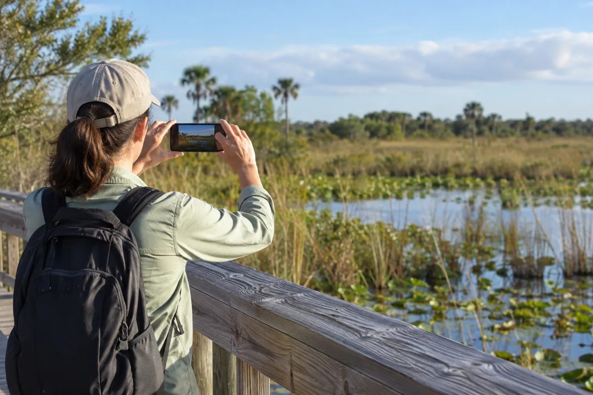 Person documenting wildlife from a distant boardwalk