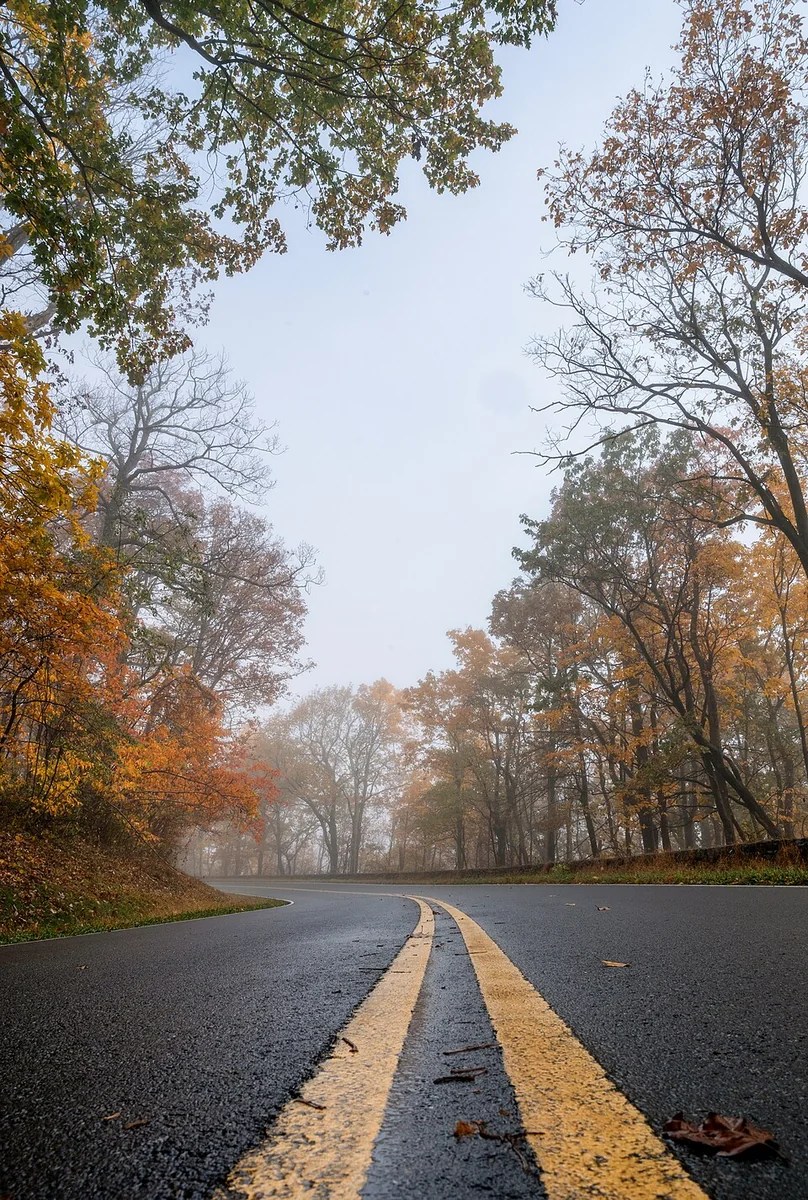 Historical photograph of Skyline Drive, Shenandoah; not current foliage or access evidence