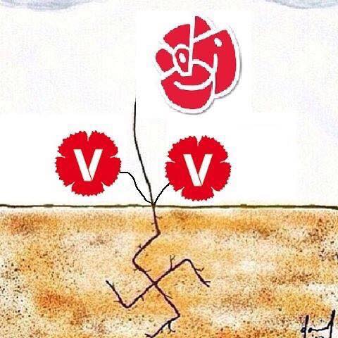 Roots