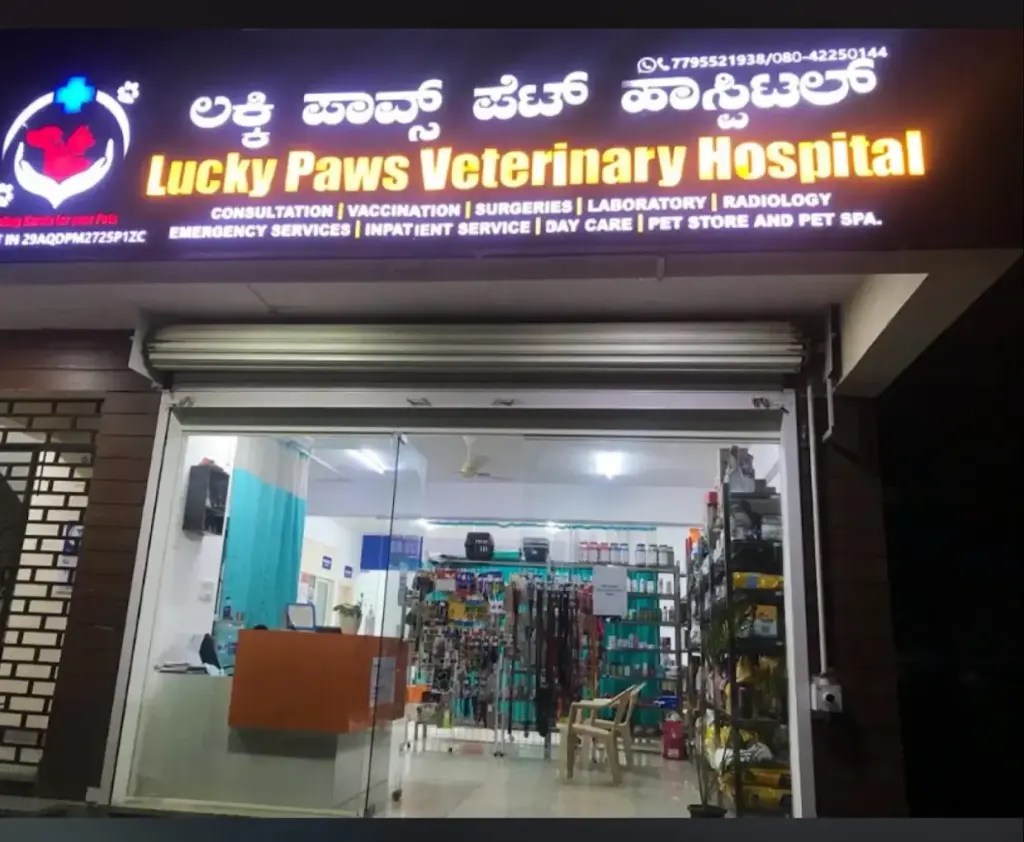 Top 10 Pet Clinics in Bangalore 7. Lucky Paws Veterinary Hospital