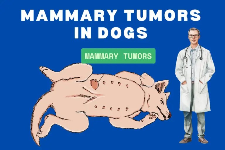 Mammary Tumors in Dogs