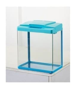 Karis Aquarium 4