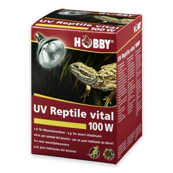 UV Eco