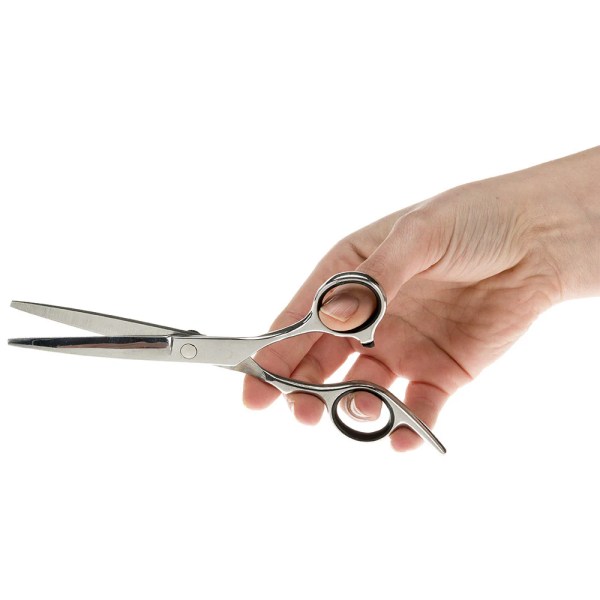 Ferplast Gro 5785 Premium Scissors With Curved Blades 15 X 5,6 X H 1,2 Cm