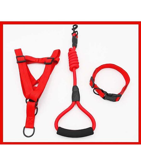 PETBROO HARNESS WITH LEADS