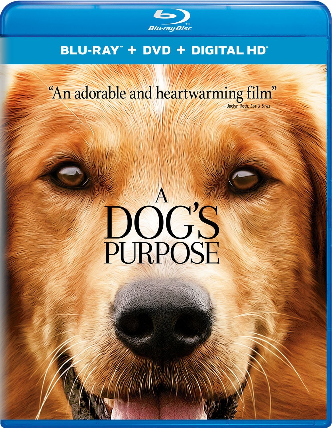 A Dog's Purpose