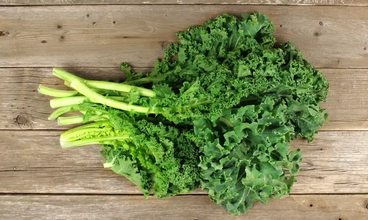 New report finds most US kale samples contain ‘disturbing’ levels of
