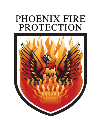 transparent pfp logo