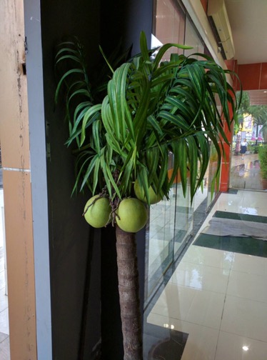 If you rename eevee as rainer in the let's go eevee new game, then it can be evolved as . Real Exeggutor found by trainer in Bangkok | PokÃ©mon Go Hack