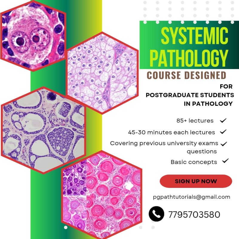 Systemic Pathology Pdf - City Image Collection - 8K Quality