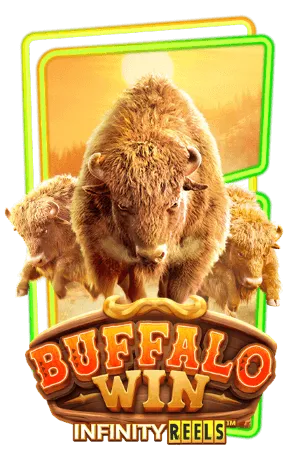 Buffalo Win