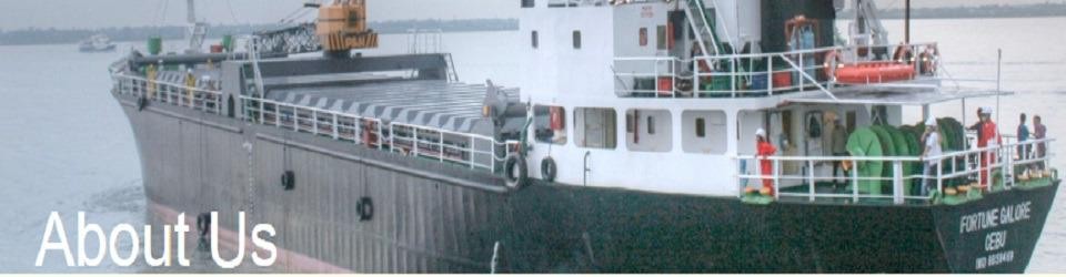 Fortune Sea Carrier Inc Jobs And Careers Reviews