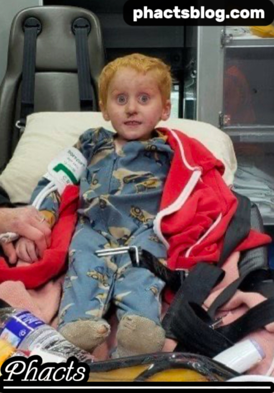 Ryker Webb’s Incredible Survival in the Montana Wilderness