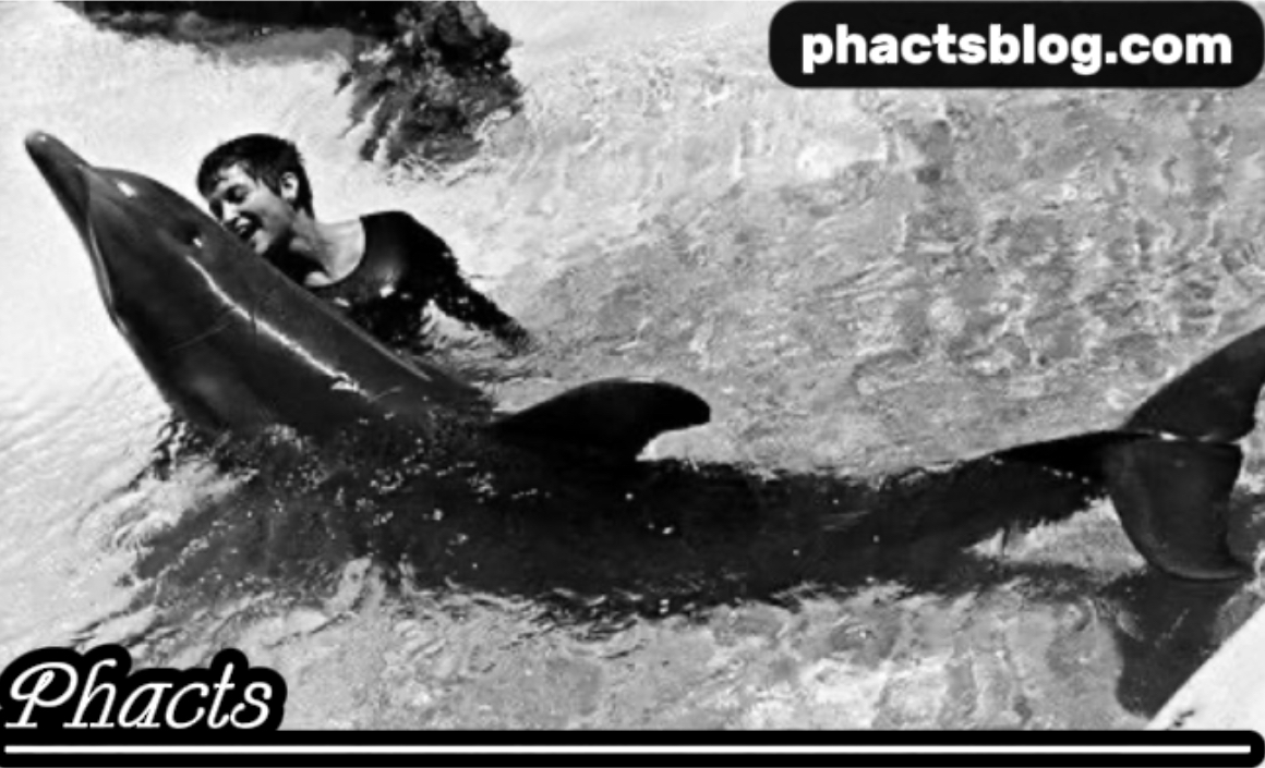 The Story of Margaret Lovatt and the NASA Dolphin Experiment