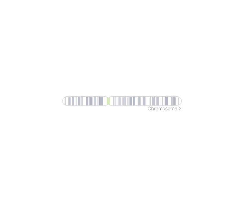 Plot A Chromosome Ideogram With Or Without Cytobands Plotideogram - Light Design Collection - 4K Quality