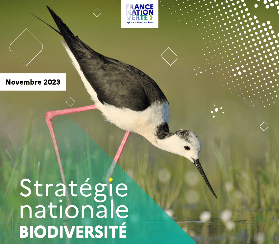 S&rsquo;engager dans la Stratégie Nationale Biodiversité 2030