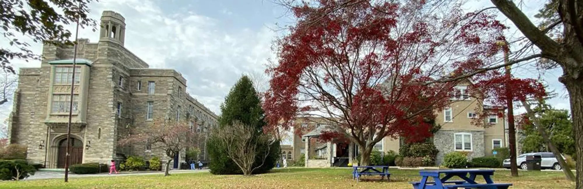 STUDYING CANNABIS HEALTH THERAPY AT PENNSYLVANIA INSTITUTE OF TECHNOLOGY