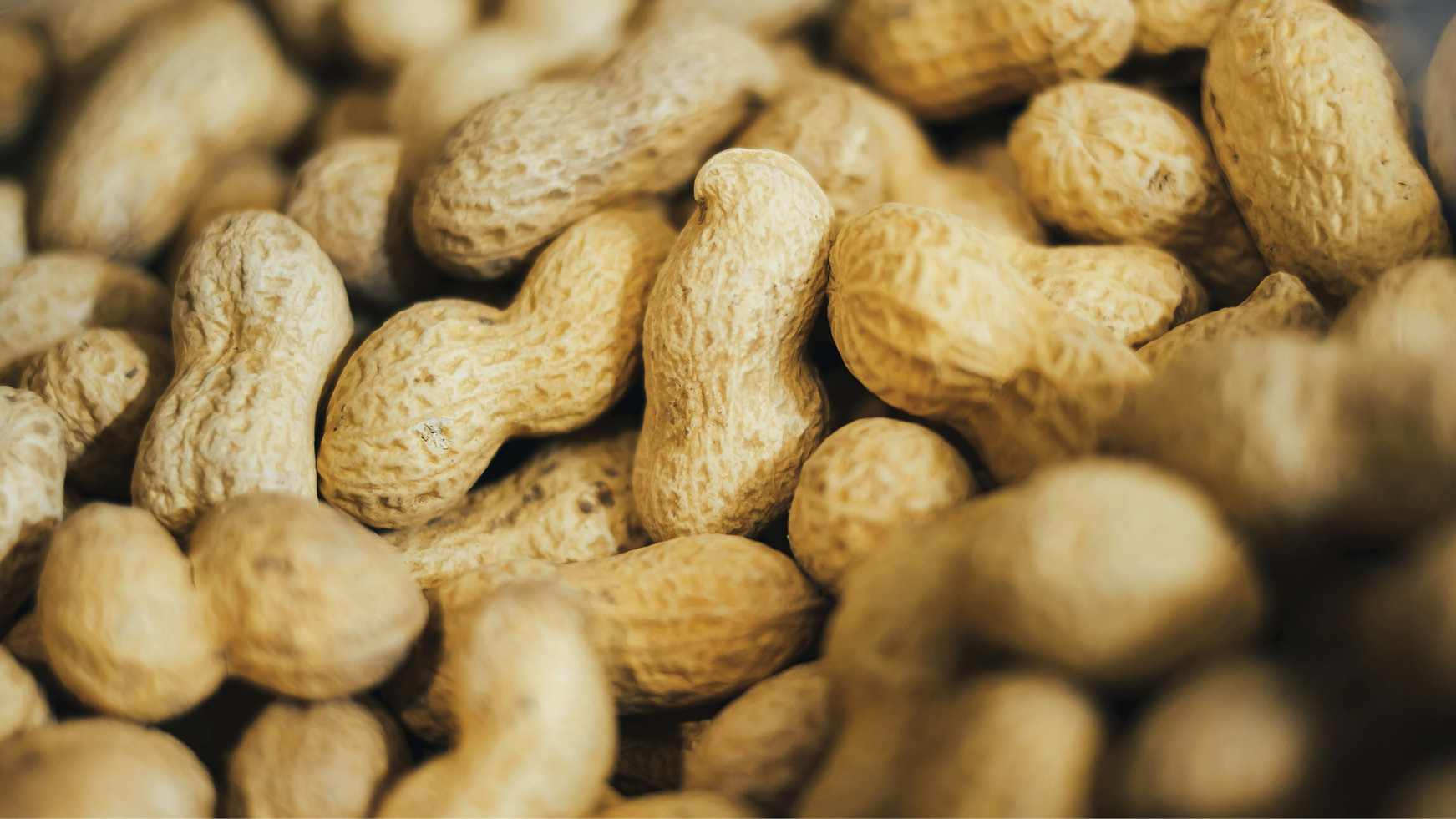 Allergy Research Funding: $14.6 Million Boost for Australia's National Allergy Centre (2026)
