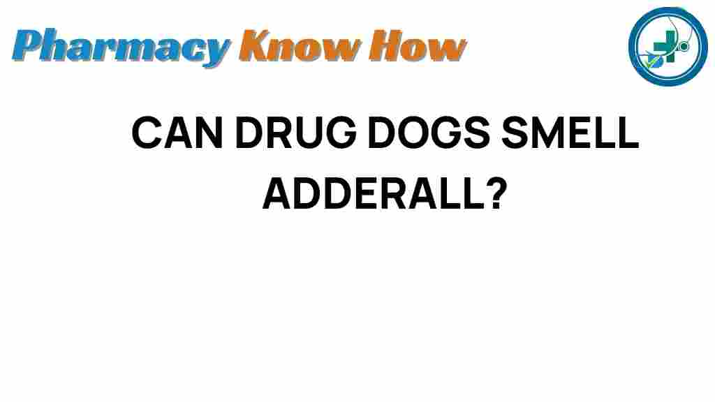 Can drug dogs detect adderall? uncovering the truth behind canine senses