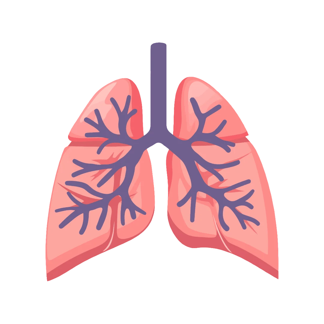 Clears Mucus (1)
