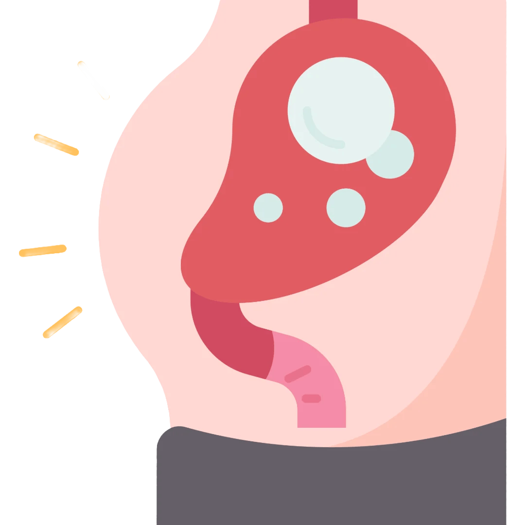 Reduces Bloating