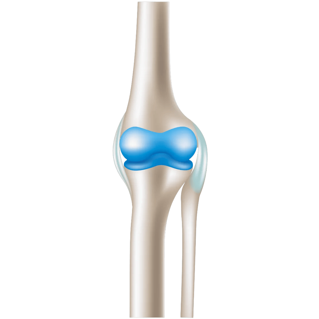 Cartilage Protection