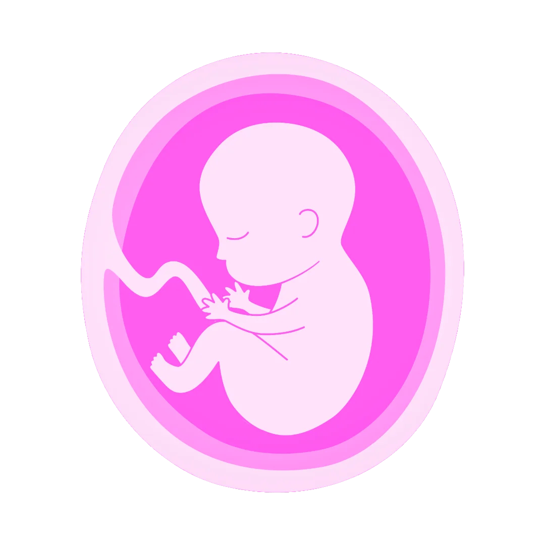 Fetal Development