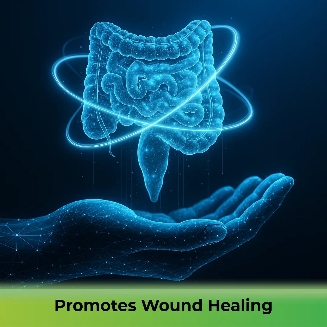 Promotes Wound Healing