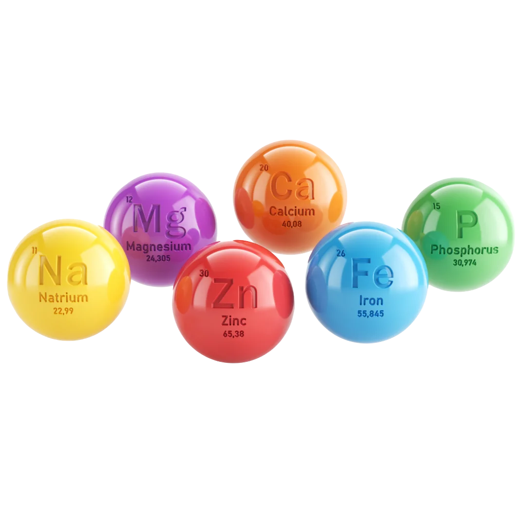 Essential Nutrients