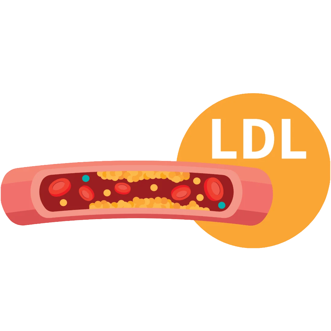 Reduces LDL Cholesterol