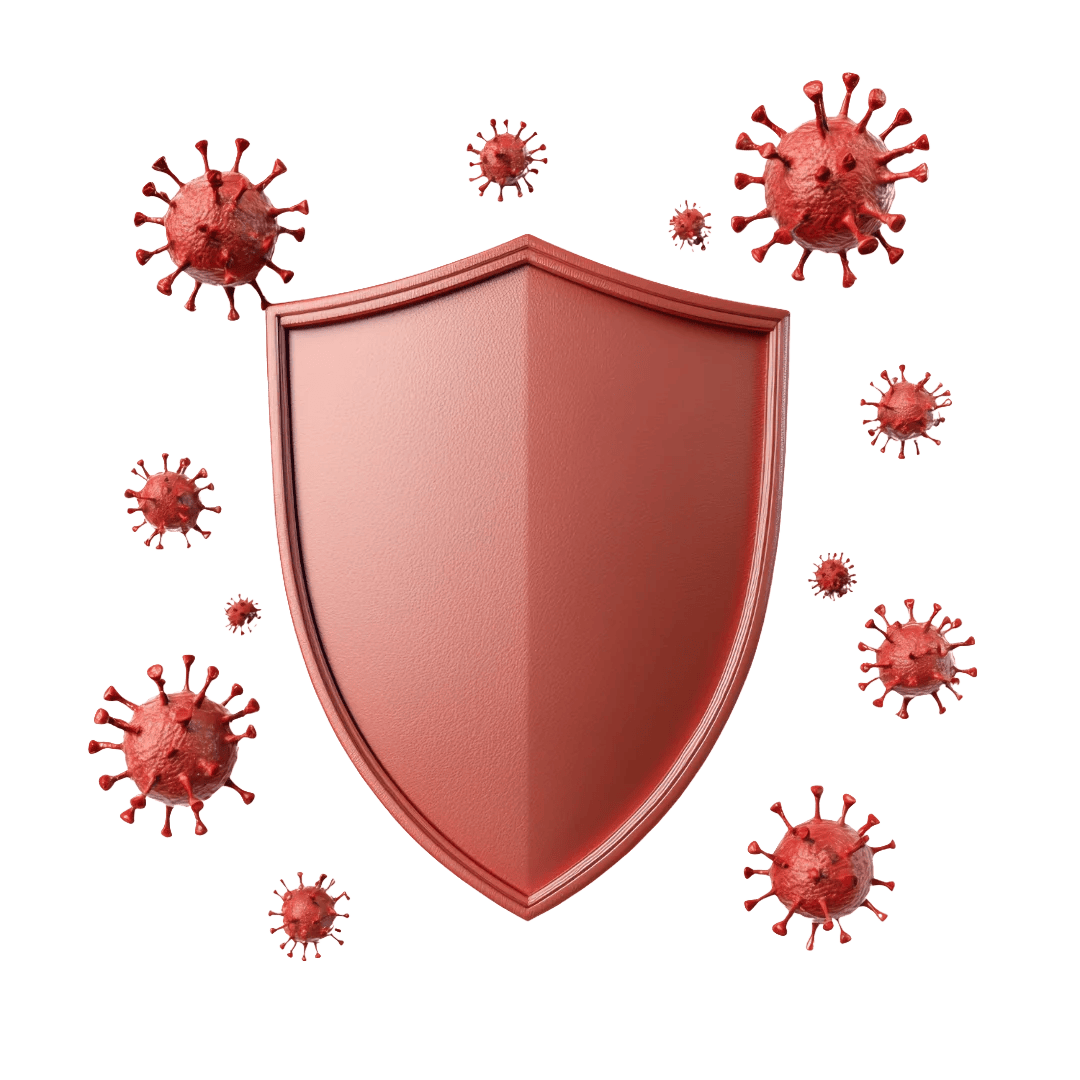 Strengthens Immunity