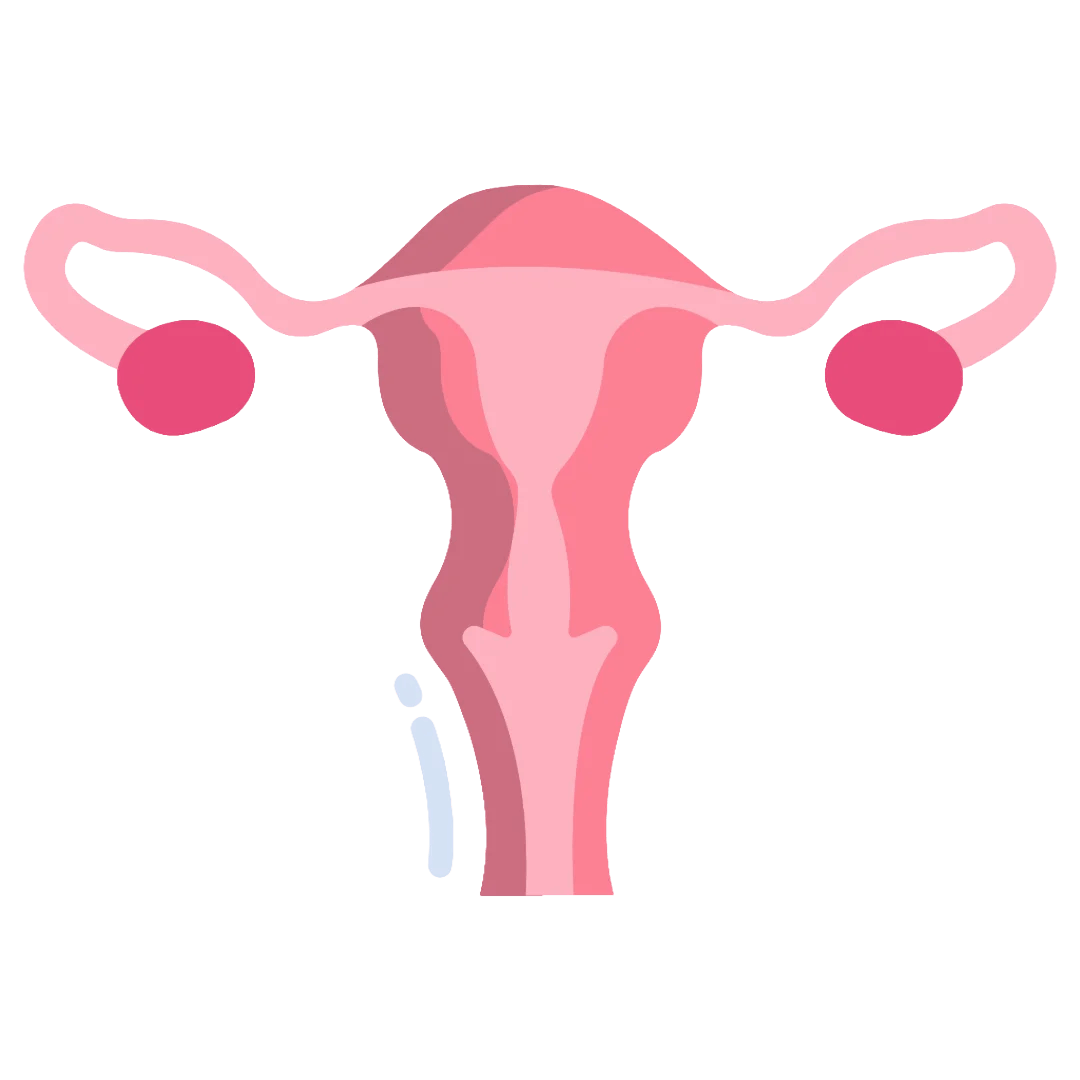 Menstrual Regulation