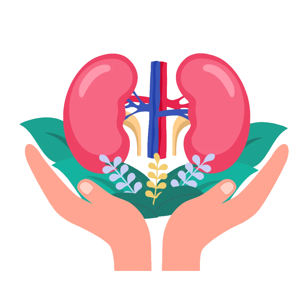 Protects Kidneys
