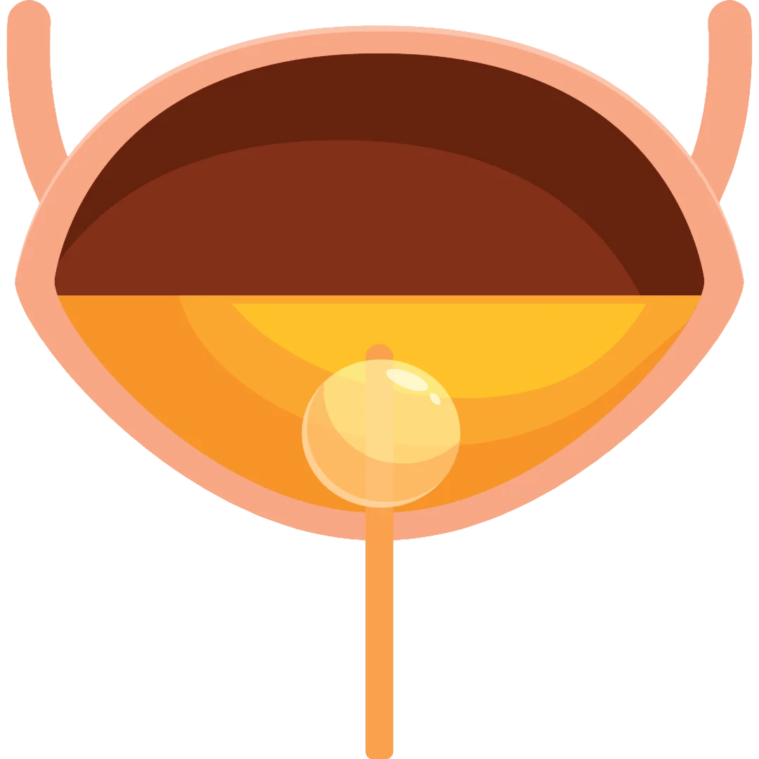 Reduces Recurrent UTI