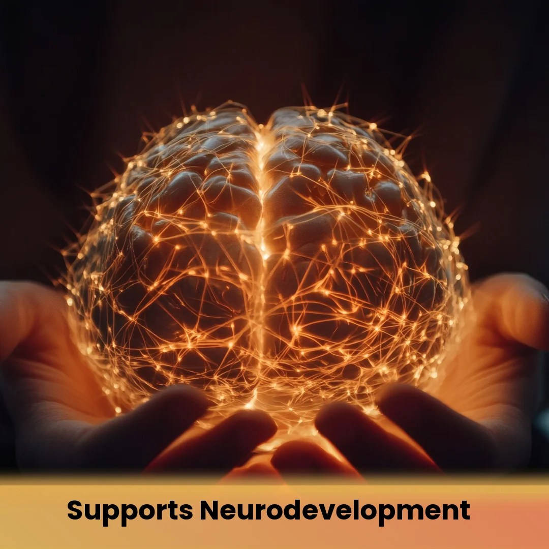Supports Neurodevelopment