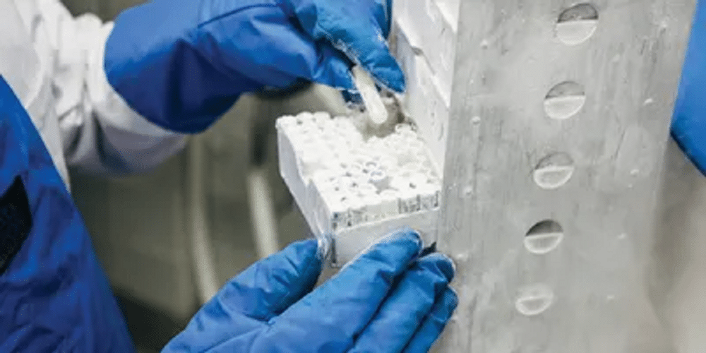 A person wearing a white lab coat and heavy blue cryogenic gloves is handling frozen laboratory samples. One gloved hand holds a small, frosted sample tube over a white, frost-covered storage box filled with similar tubes. The box is positioned next to a tall, metallic cryogenic storage rack covered in condensation and frost.