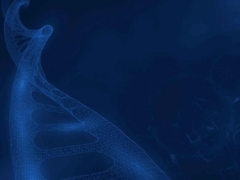 Knowledge Centre - Nature Illustration Collection - Full HD Quality