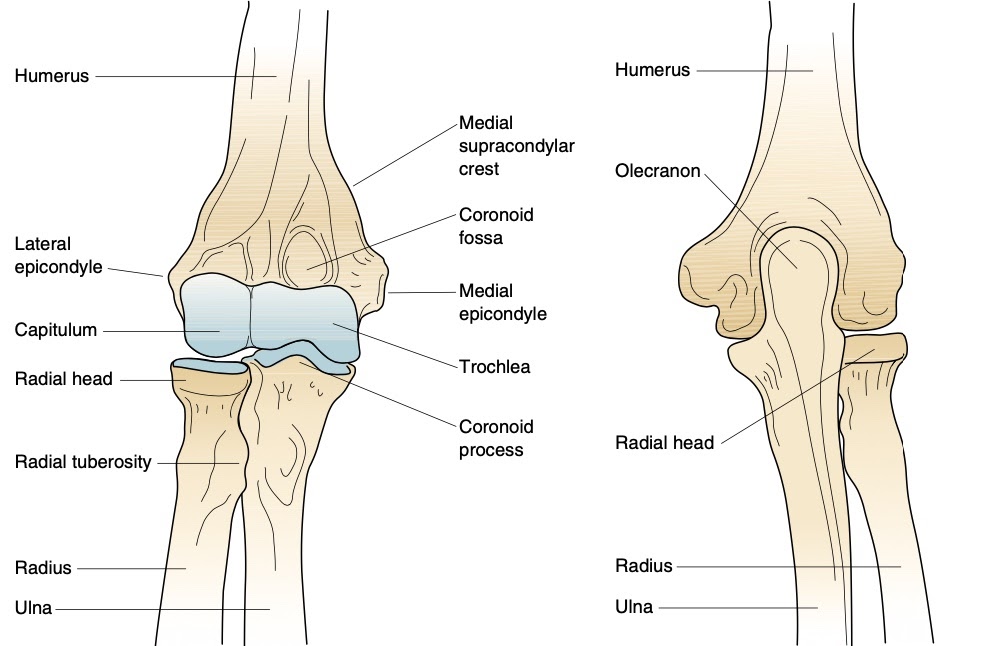 JOINT MOBILIZATION OF THE ELBOW JOINT COMPLEX PHCN Online