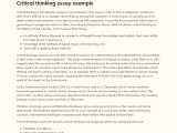 Critical Thinking Essay Example Phdessay