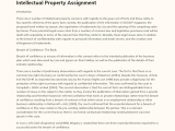 Intellectual Property Assignment Phdessay