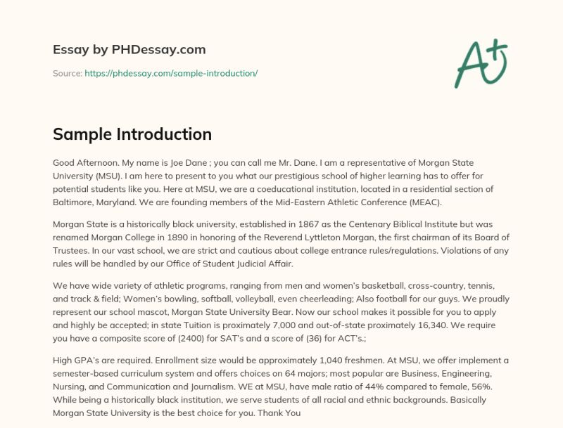 Sample Introduction Essay By Admin Issuu - Download Professional Nature Texture | Full HD