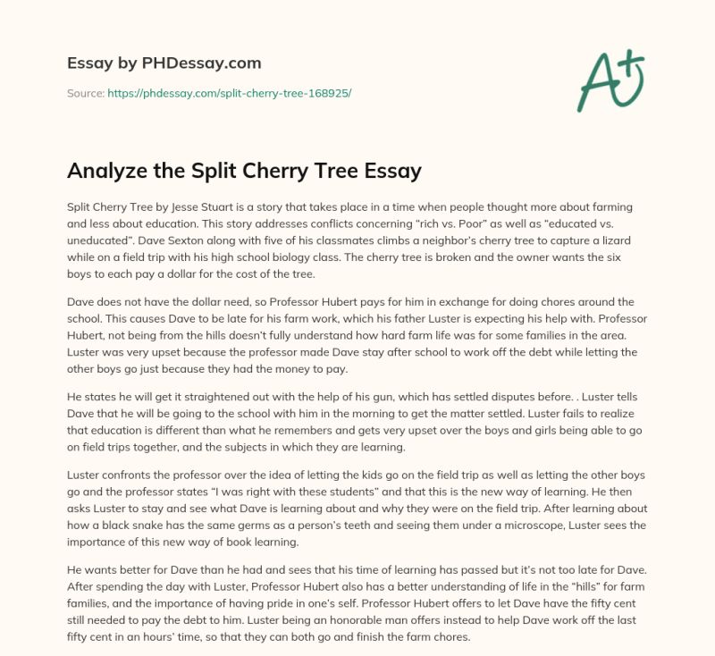 The Split Cherry Tree Short Story By Jesse Stuart - Professional Full HD Abstract Photos | Free Download