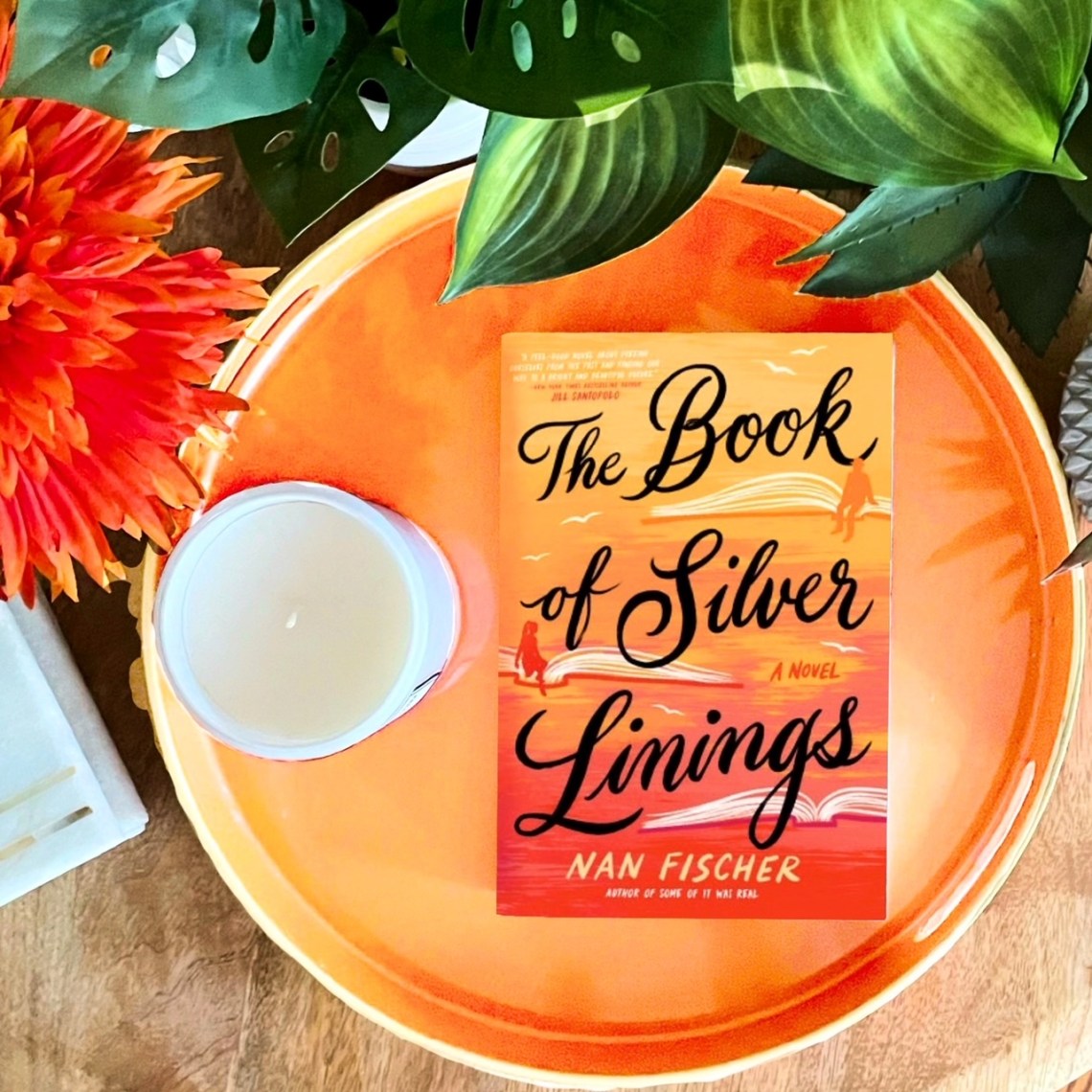 The Book of Silver Linings by Nan Fischer is a contemporary fiction and romance novel that will charm your heart